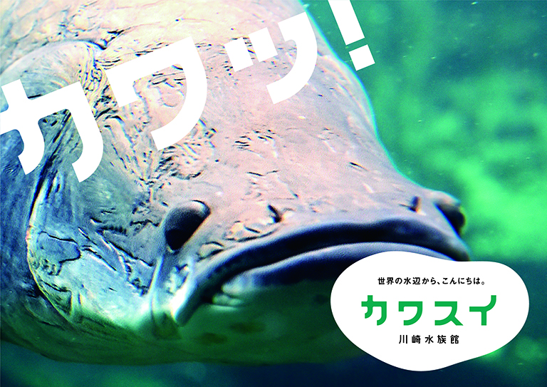 0617_kawasui_ad_b0_flag_kawasaki_photo pillar